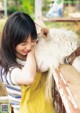 A young girl is petting a white goat on a fence.